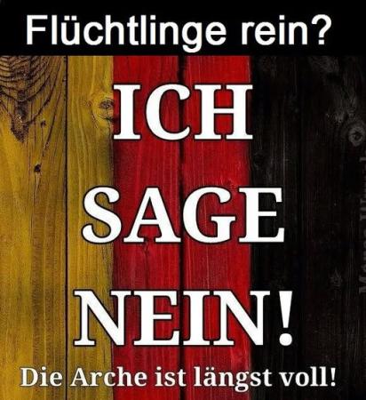450_53d94fe927811425d7f9642eff55d1cc.jpg