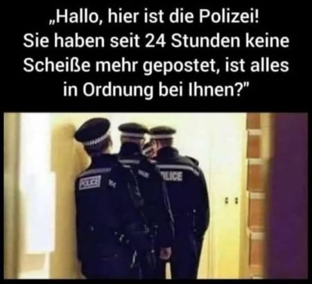 450_d613c3f47bea049b690cdebbc2f66fb7.jpg